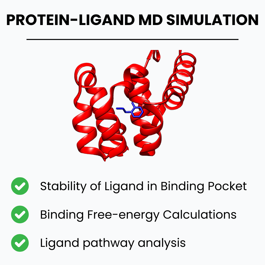Protein-Ligand MD Simulation