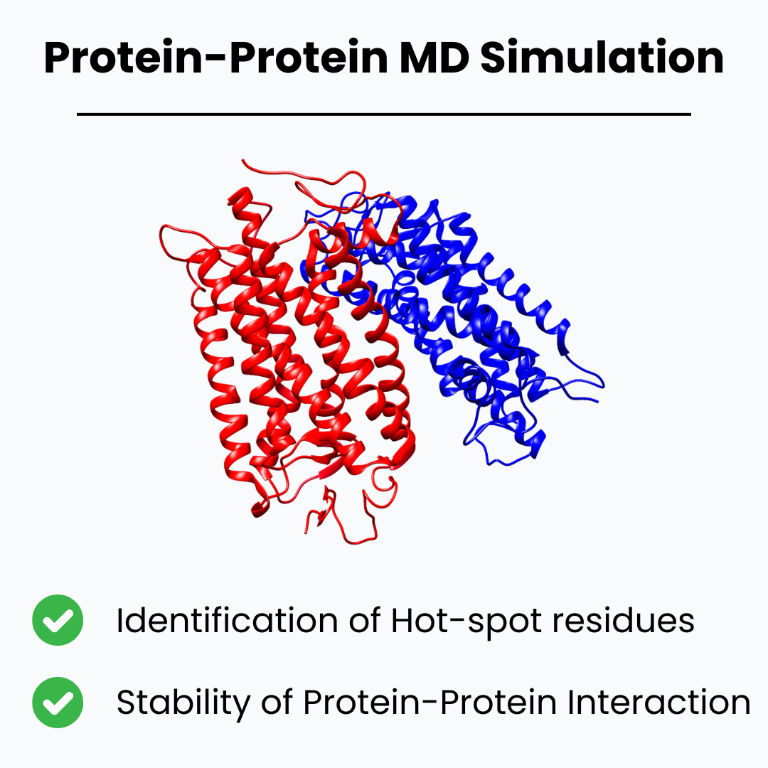 Protein-Protein MD Simulation