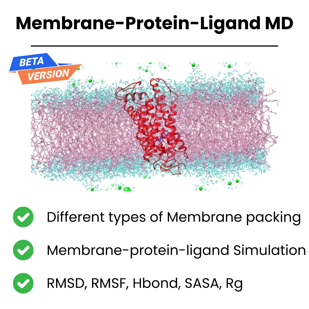 Membrane-protein-ligand MD Simulation