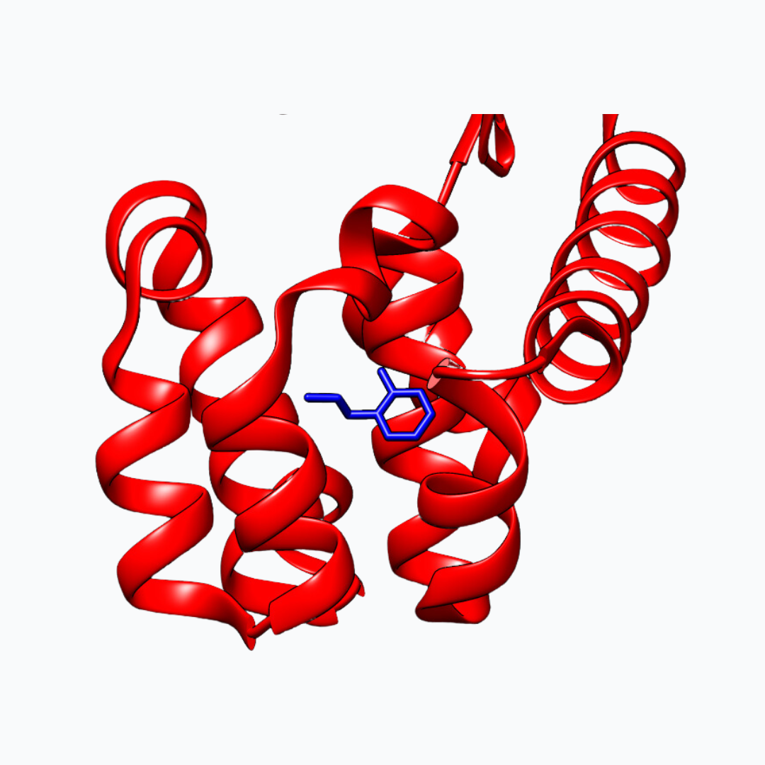 Protein-Ligand MD Simulation
