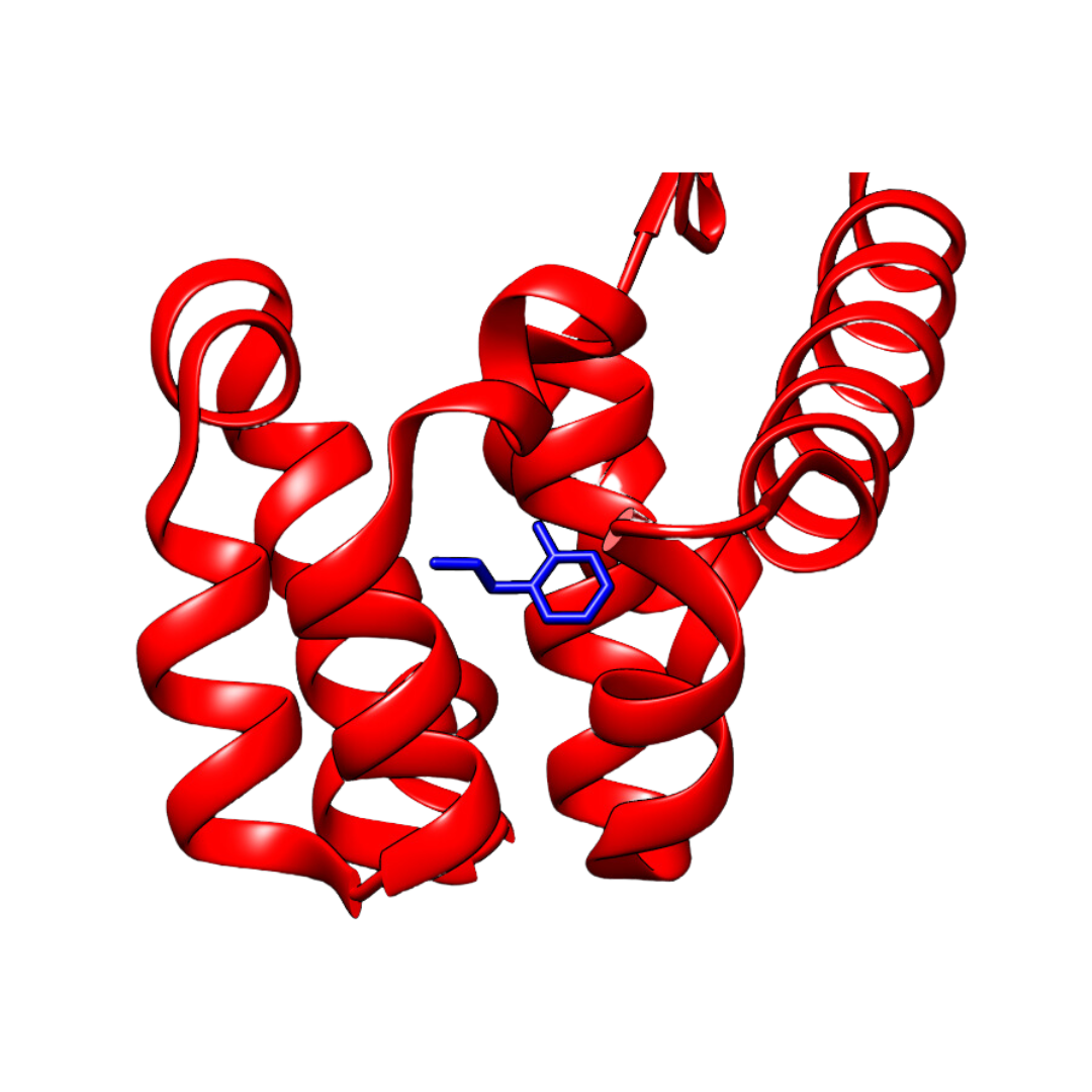 Protein-ligand complex