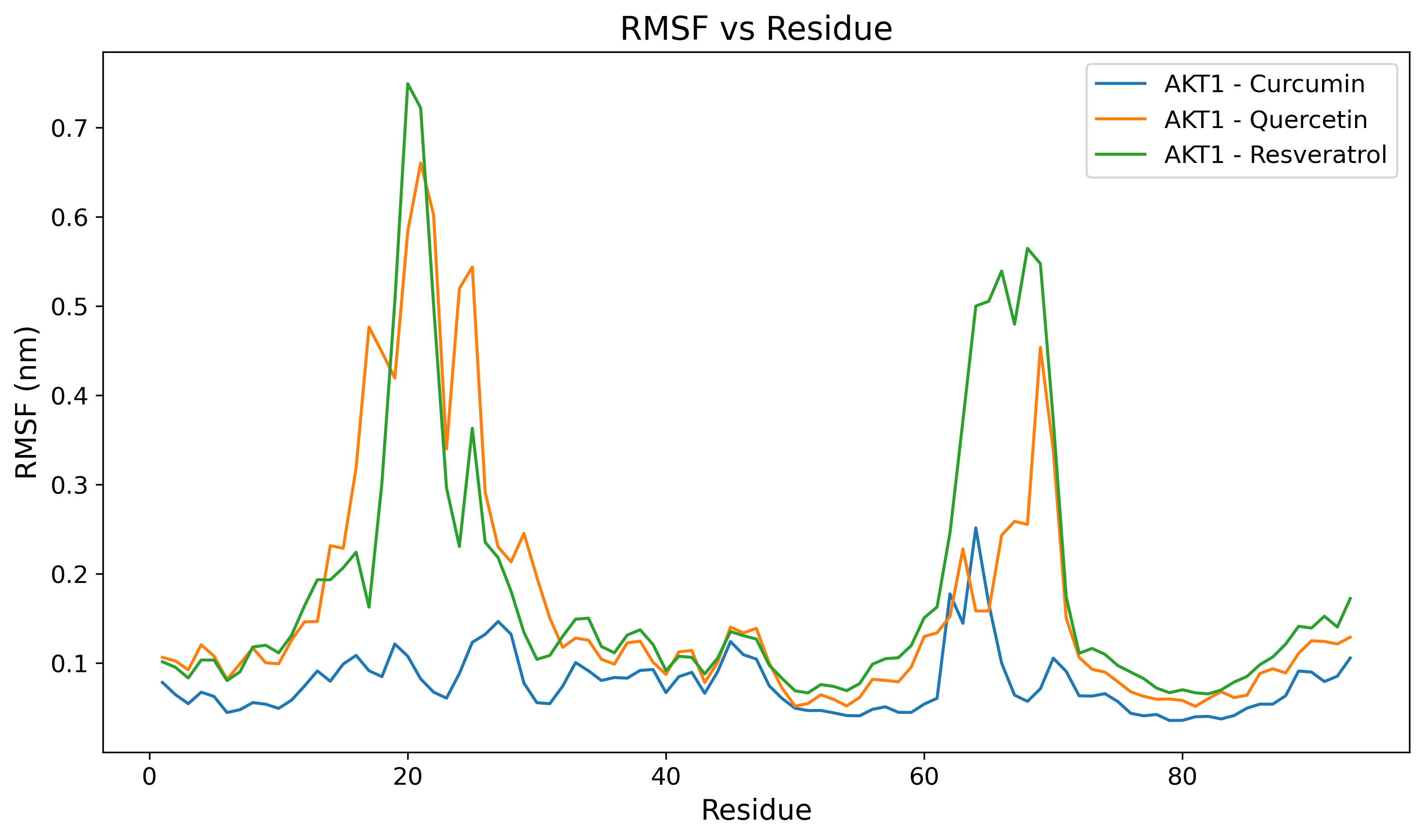 Protein RMSF